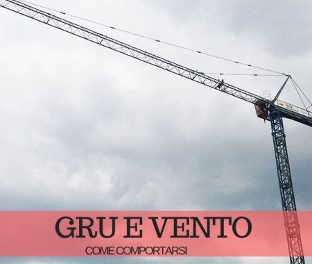 Gru e vento: cosa fare quando c’è vento forte Gru e vento: cosa fare quando c’è vento forte